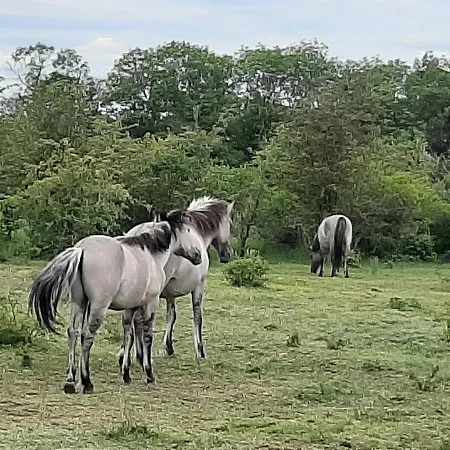 Weinbergblick Apartament *
