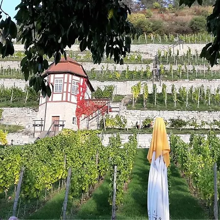 شقة Weinbergblick *