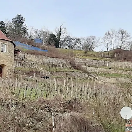 Weinbergblick Apartment *