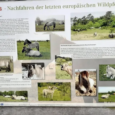 Weinbergblick Apartment Naumburg (Saale)