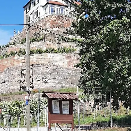 شقة Weinbergblick