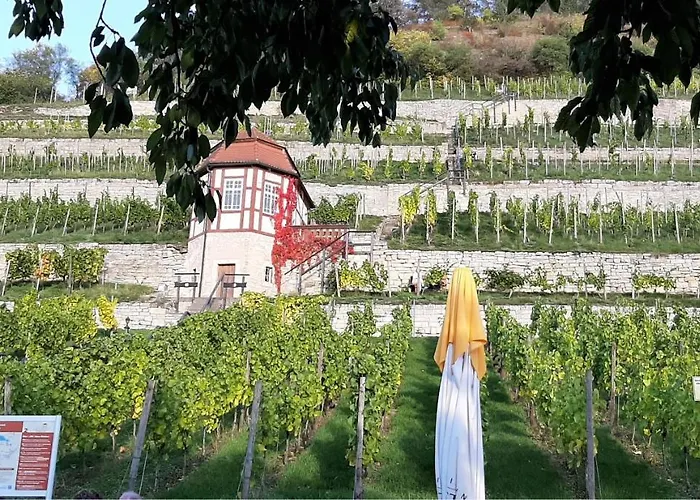 アパート Weinbergblick *