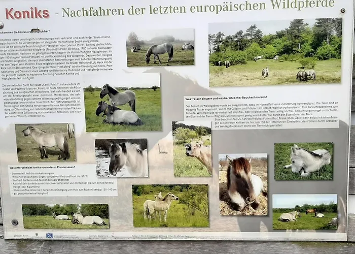 Weinbergblick Apartment Naumburg (Saale)