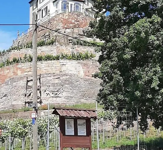 Apartment Weinbergblick