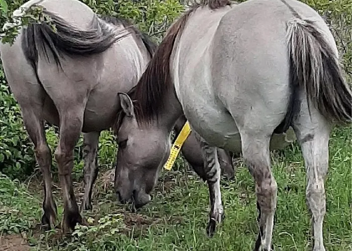 Weinbergblick Apartment